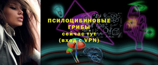 МДПВ Медвежьегорск