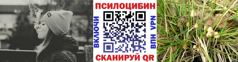 наркота Болотное Галлюциногенные грибы Magic Shrooms